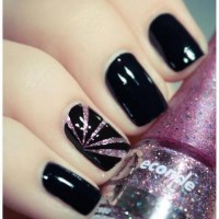 /album/be/a542330-10151082562002492-2111177097-n-jpg/